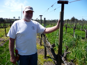 Steve Beresini and his vineyard