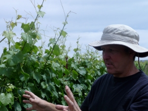 Chris in Sonoma Coast vineyard